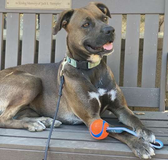 Photo of Echo