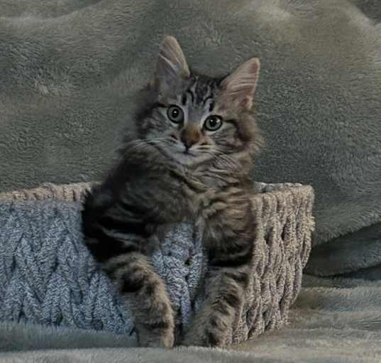 Photo of Afton