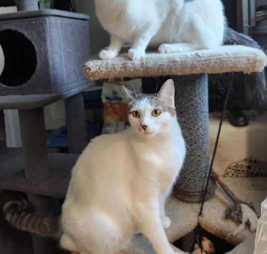 Photo of Stella & Jojo