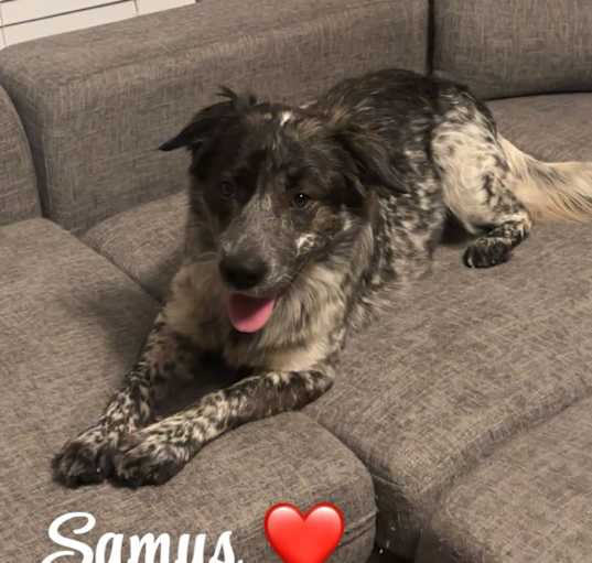 Photo of Samus
