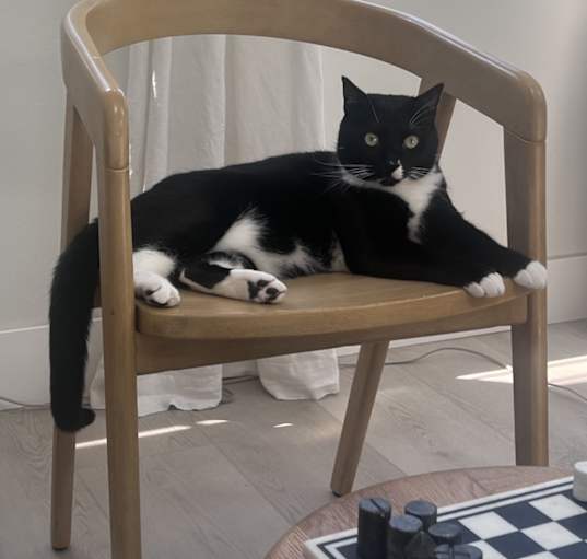 Photo of Cleo