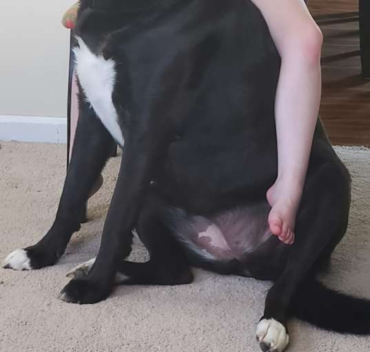 Photo of Millie
