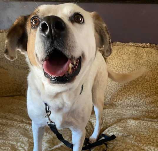 Photo of Waylon
