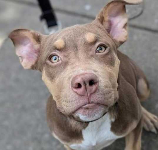 Photo of Lexie