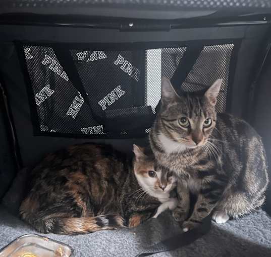 Photo of Luna and mom