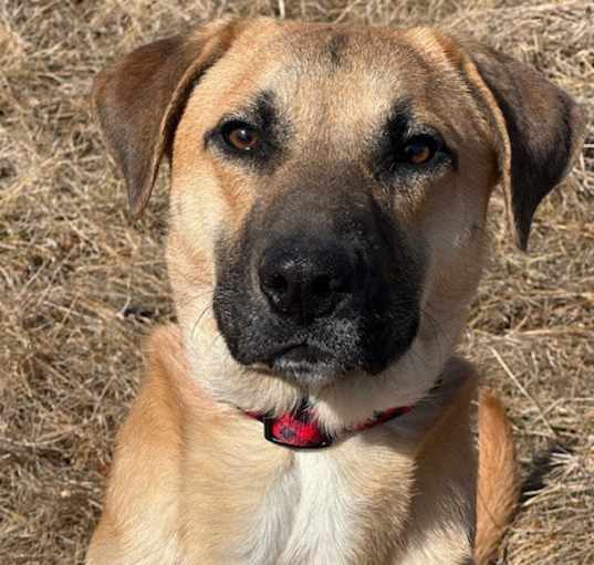 Photo of Max