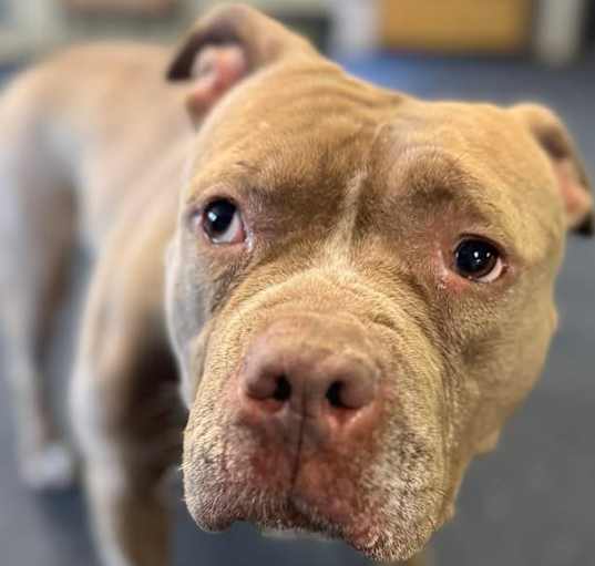 Photo of Nala Jean