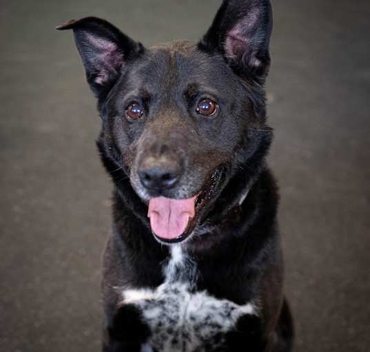Photo of Diamond