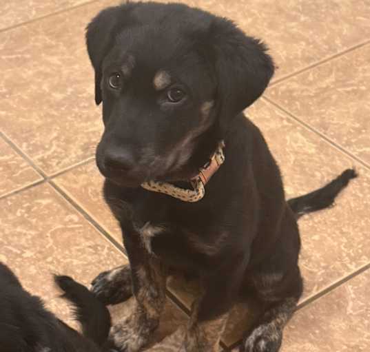 Photo of Lucy