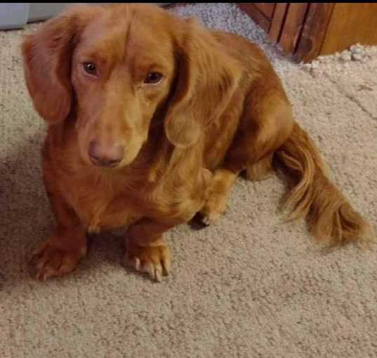 Photo of Axel