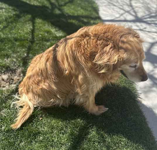 Photo of Haley