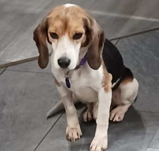 Photo of Stanley