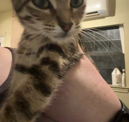 Photo of Tilly
