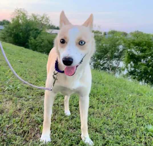 Photo of Hilda