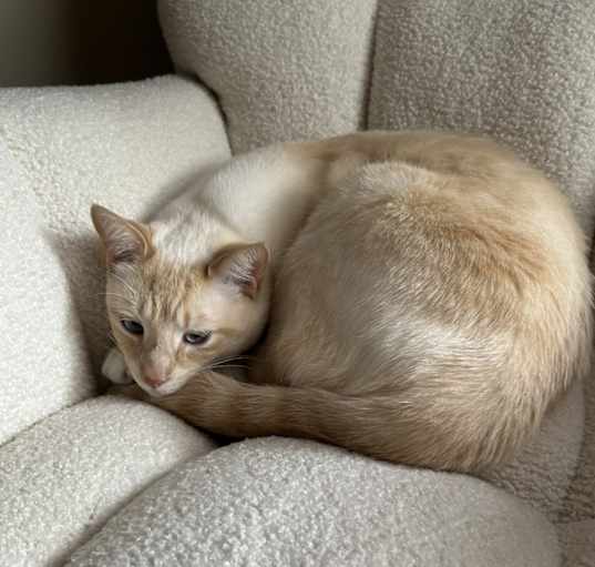 Photo of Marshy
