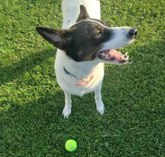 Photo of Hazel