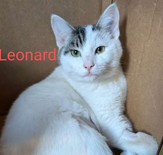 Photo of Leonard