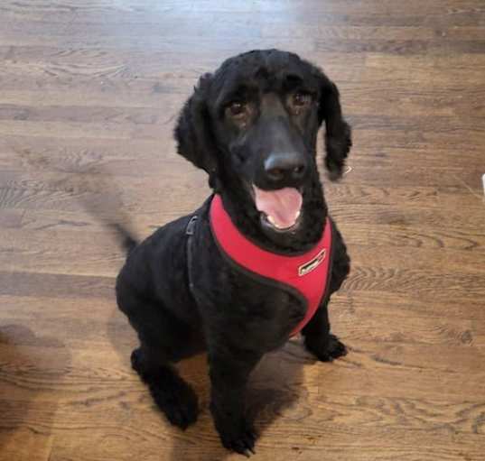 Photo of Lucky TX
