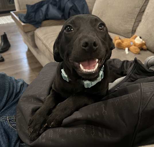 Photo of COOKIE