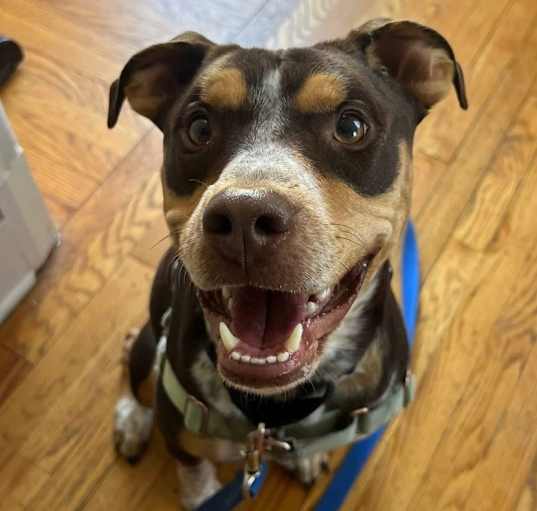 Photo of Jack (George)