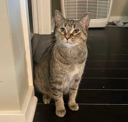 Photo of Rita