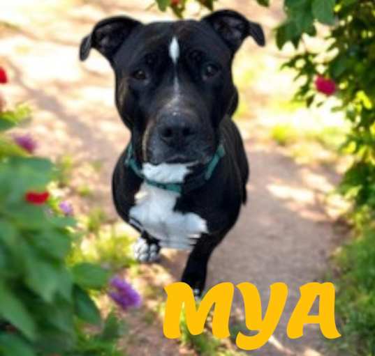 Photo of Mya