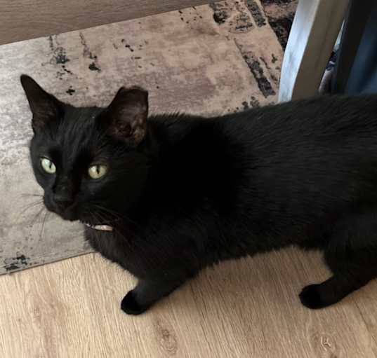 Photo of midnight