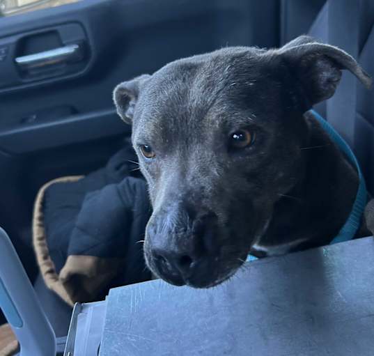 Photo of Molly