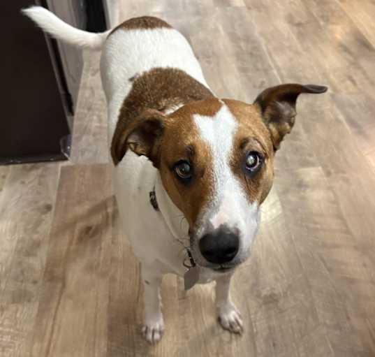 Photo of Copper