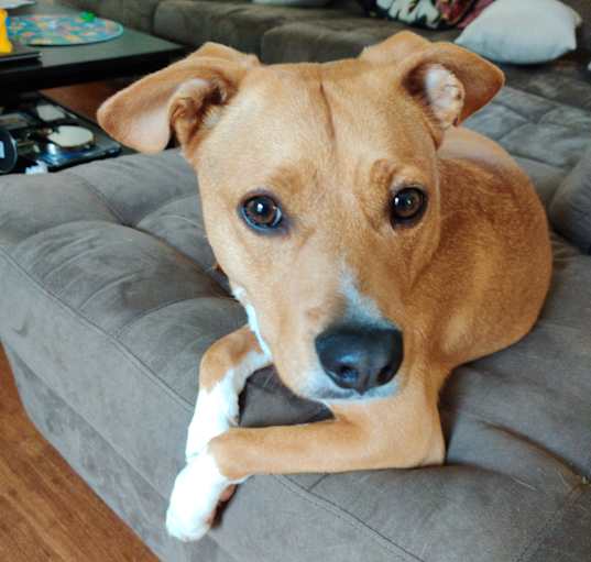 Photo of Jax