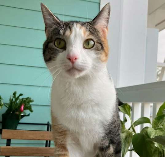 Photo of Chloe
