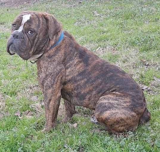 Photo of Zeke