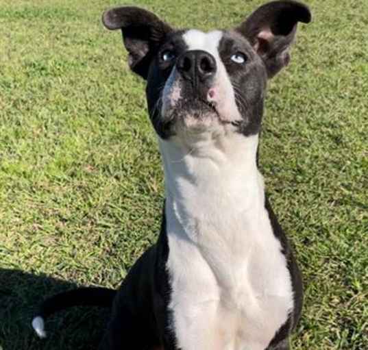 Photo of SALLY