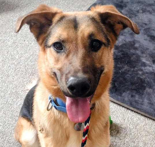Photo of Klaus
