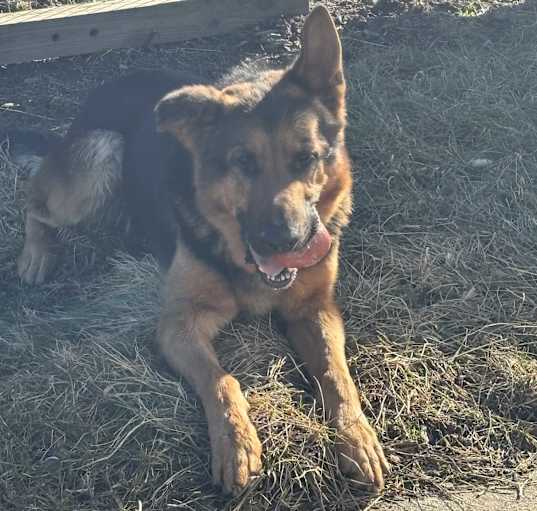 Photo of Deuce