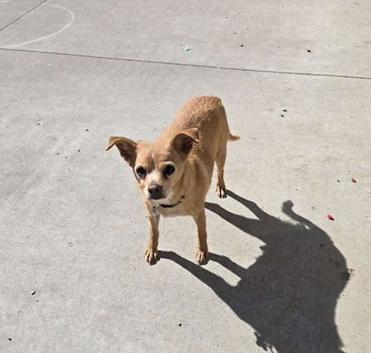 Photo of Lucas