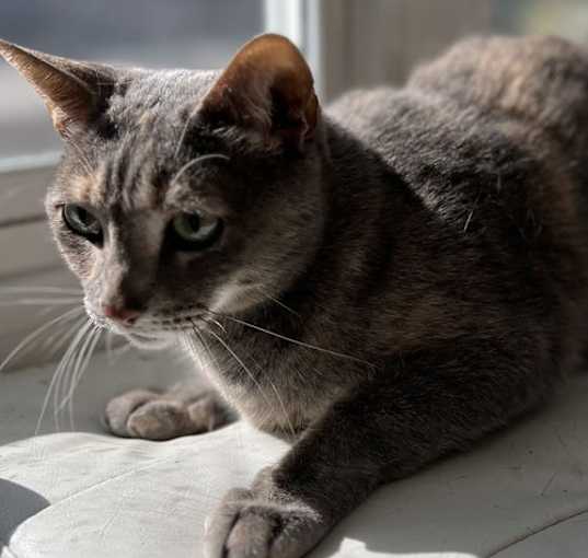 Photo of Sandee