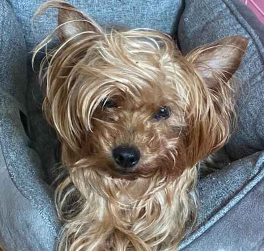 Photo of Cali