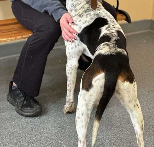 Photo of Dottie