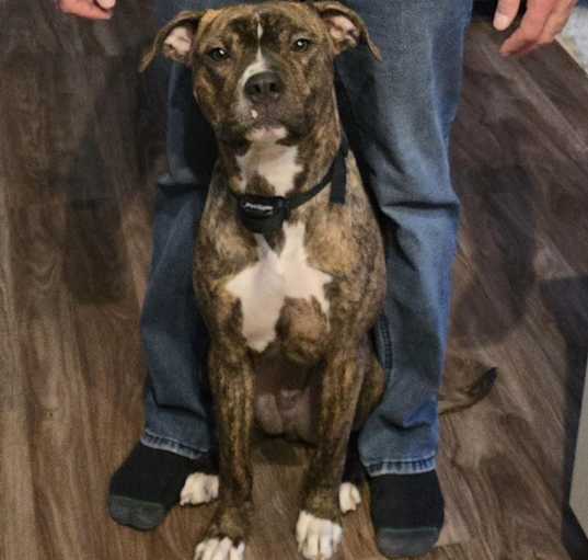 Photo of Beamer