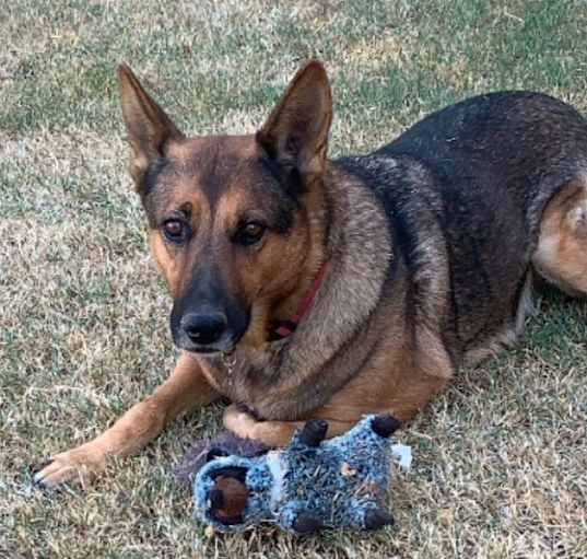 Photo of Maya