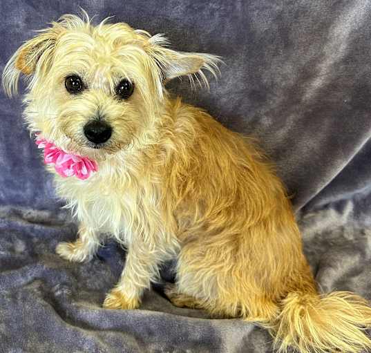 Photo of Mia