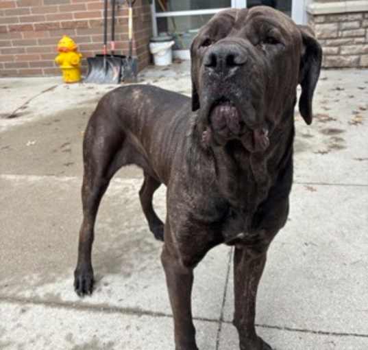 Photo of Keisha