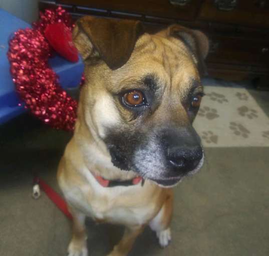 Photo of GRACIE