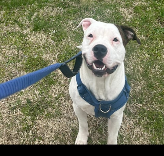 Photo of rocket