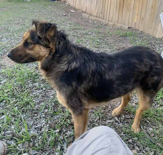 Photo of Maggie