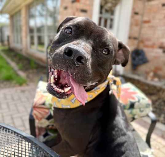 Photo of Waldo the wonderful one