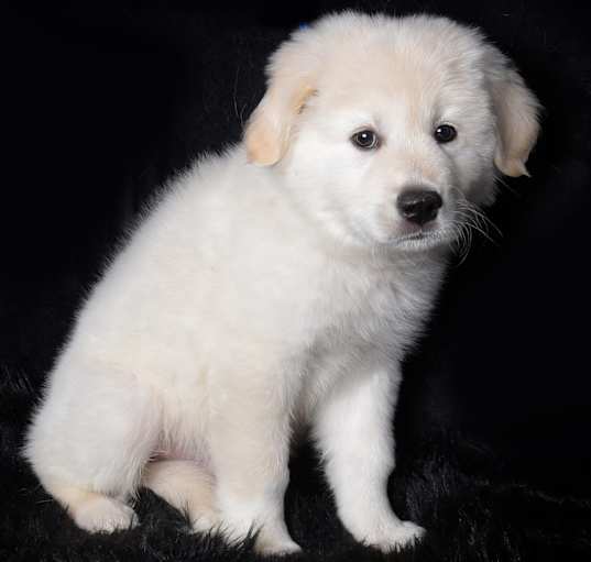 Photo of Blizzard