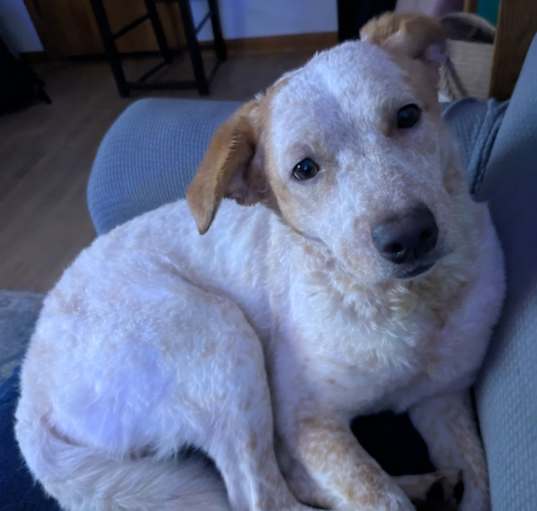 Photo of Ethel