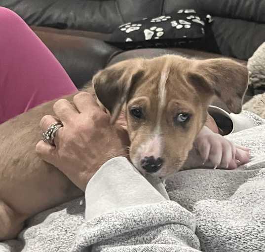 Photo of PIXIE